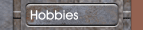 Hobbies