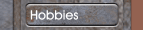 Hobbies